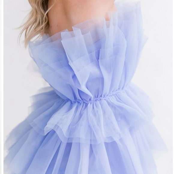 Tulle Mini Dress - Picture 3 of 4